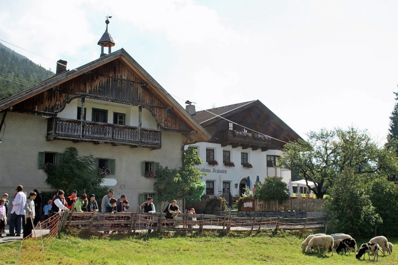 Schafabtrieb von der Seebenalm nach Untermieming