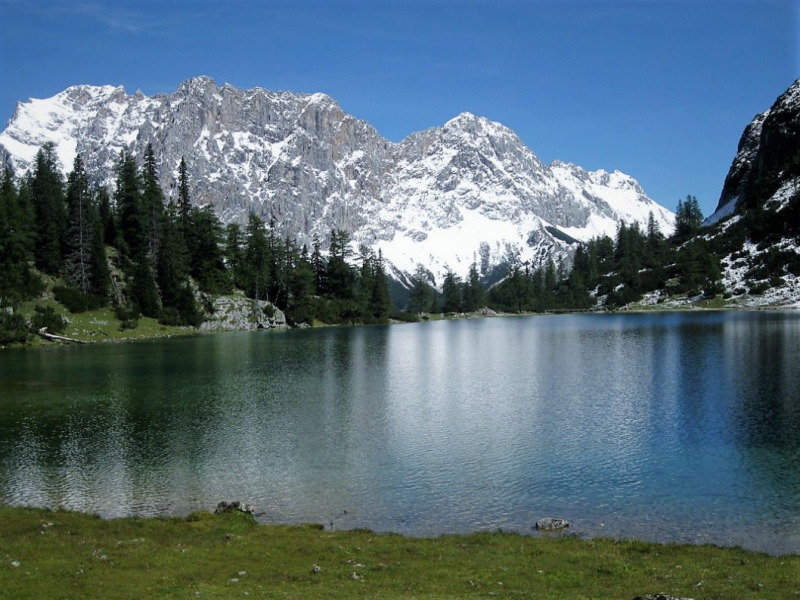 Schafabtrieb von der Seebenalm nach Untermieming