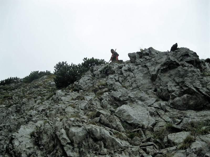 Schafabtrieb von der Seebenalm nach Untermieming