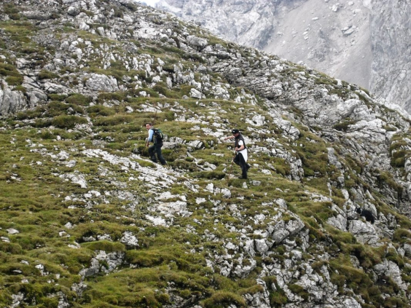 Schafabtrieb von der Seebenalm nach Untermieming