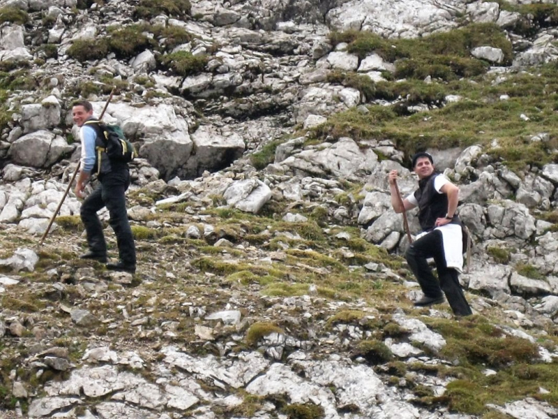 Schafabtrieb von der Seebenalm nach Untermieming