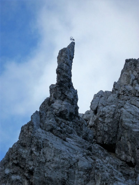 Schafabtrieb von der Seebenalm nach Untermieming
