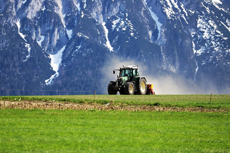 Schafbad im Frühjahr – Almsommerstart für den Seebenalm-Hirten