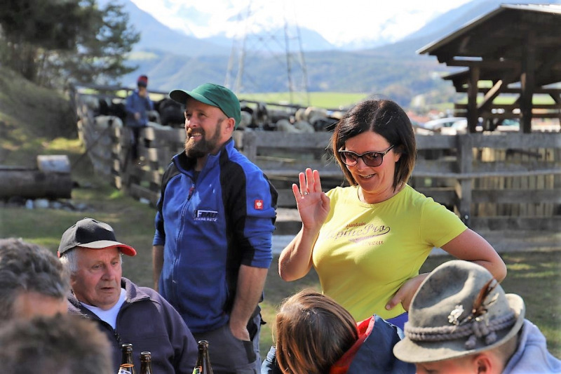 Schafbad im Frühjahr – Almsommerstart für den Seebenalm-Hirten