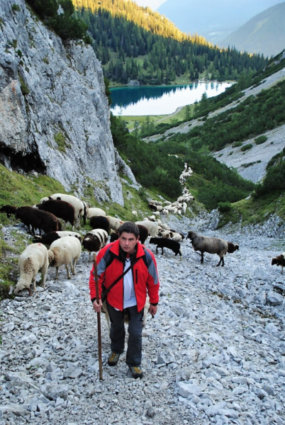Schafschoad 2012 – Vom Seebensee nach Untermieming