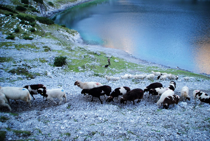 Schafschoad 2012 – Vom Seebensee nach Untermieming