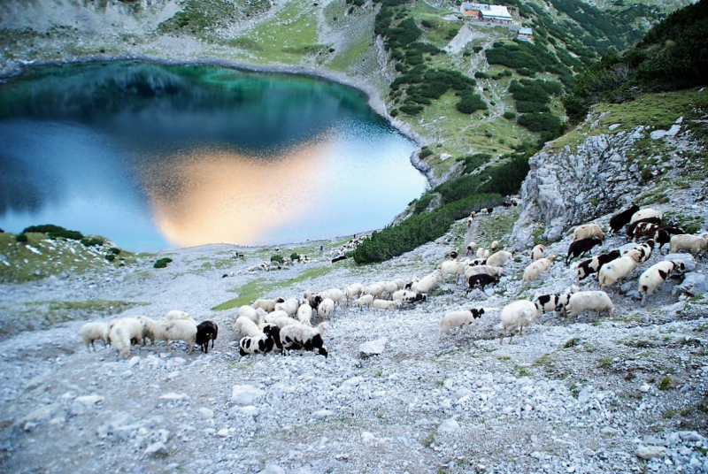 Schafschoad 2012 – Vom Seebensee nach Untermieming