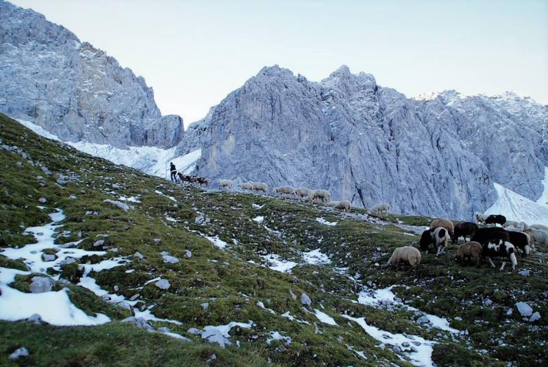 Schafschoad 2012 – Vom Seebensee nach Untermieming