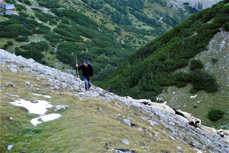Schafschoad 2012 – Vom Seebensee nach Untermieming