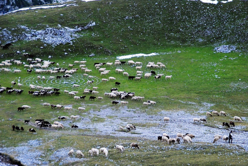 Schafschoad 2012 – Vom Seebensee nach Untermieming