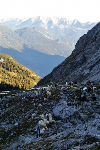 Schafschoad 2012 – Vom Seebensee nach Untermieming