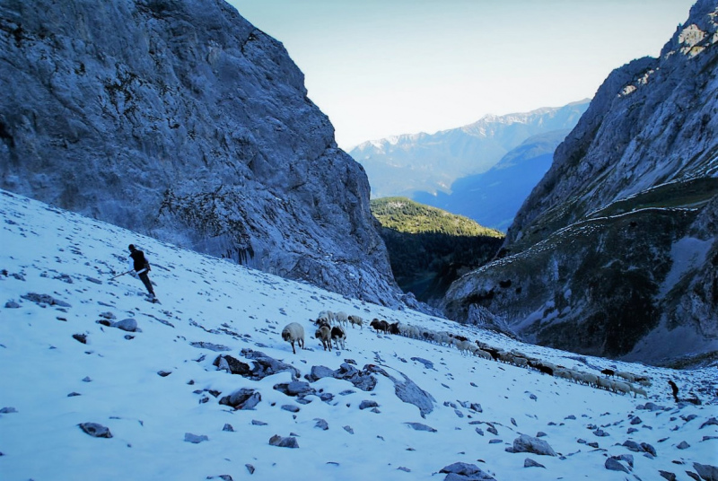 Schafschoad 2012 – Vom Seebensee nach Untermieming