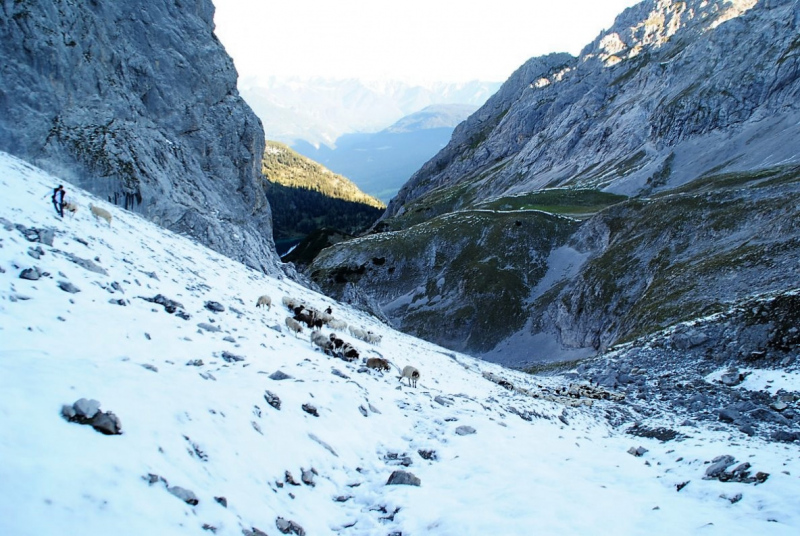 Schafschoad 2012 – Vom Seebensee nach Untermieming