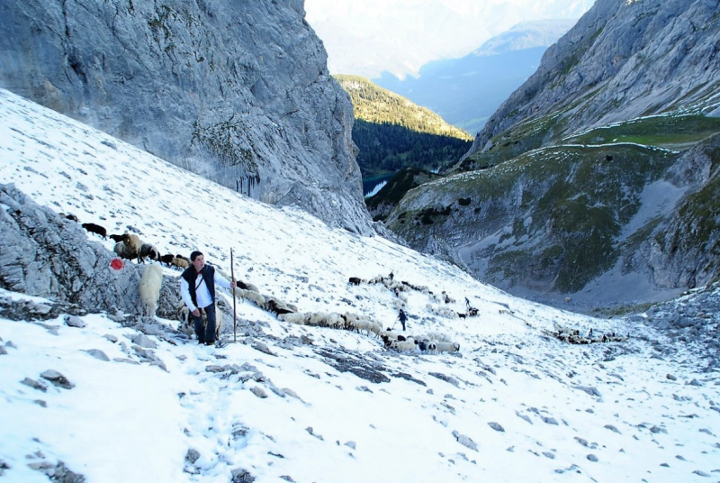 Schafschoad 2012 – Vom Seebensee nach Untermieming