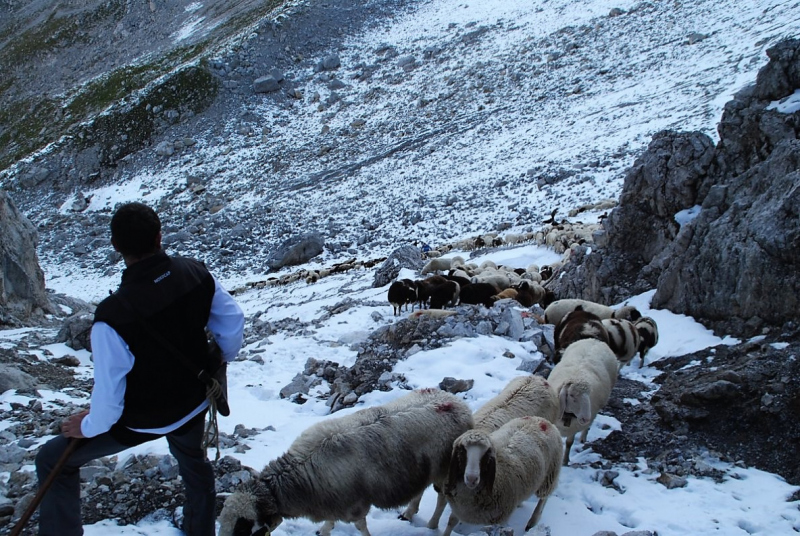 Schafschoad 2012 – Vom Seebensee nach Untermieming