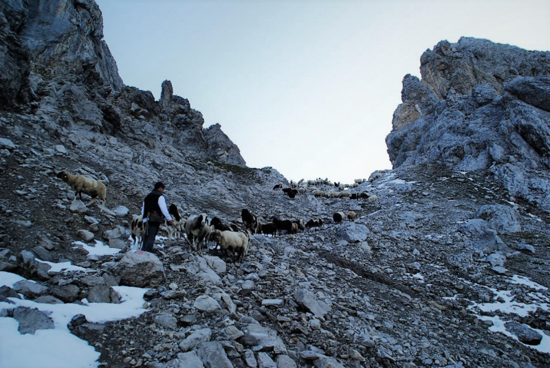 Schafschoad 2012 – Vom Seebensee nach Untermieming