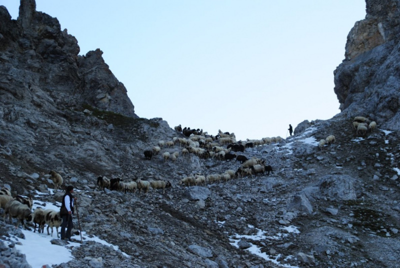 Schafschoad 2012 – Vom Seebensee nach Untermieming