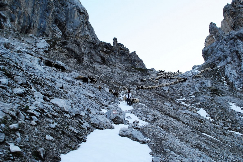 Schafschoad 2012 – Vom Seebensee nach Untermieming