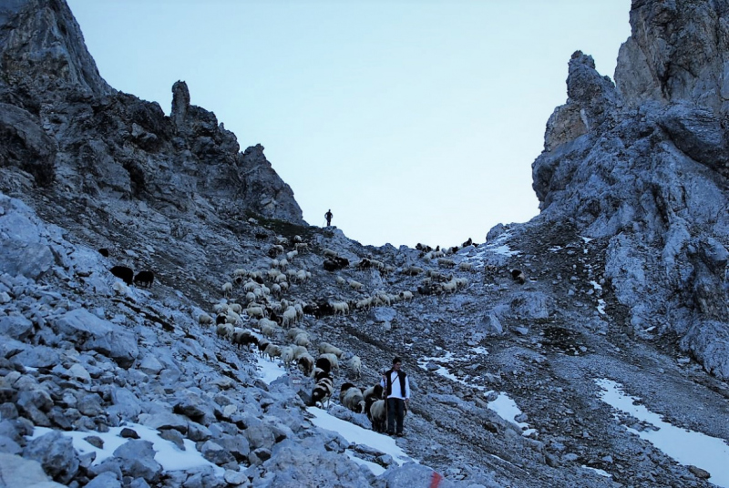 Schafschoad 2012 – Vom Seebensee nach Untermieming