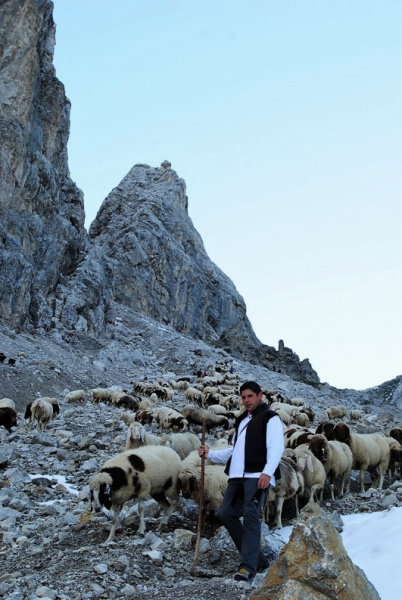 Schafschoad 2012 – Vom Seebensee nach Untermieming