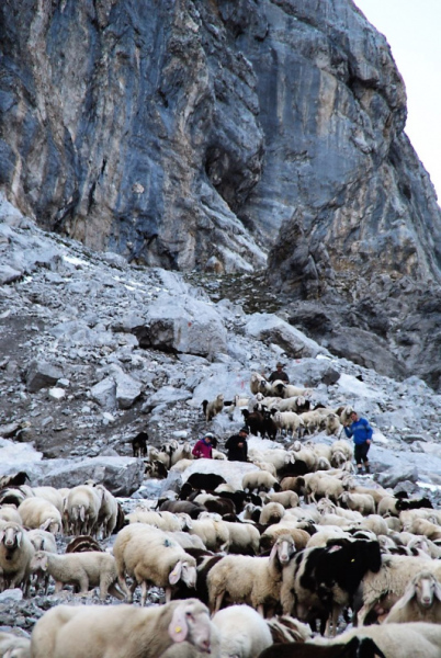 Schafschoad 2012 – Vom Seebensee nach Untermieming