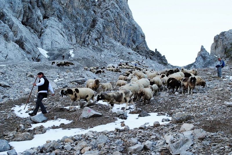 Schafschoad 2012 – Vom Seebensee nach Untermieming