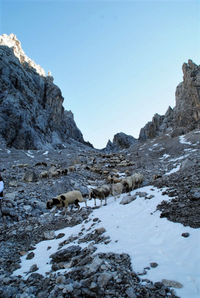 Schafschoad 2012 – Vom Seebensee nach Untermieming