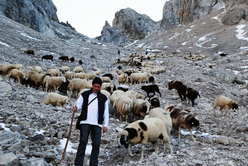 Schafschoad 2012 – Vom Seebensee nach Untermieming