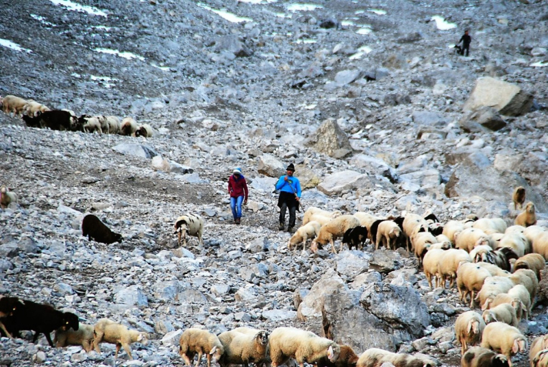 Schafschoad 2012 – Vom Seebensee nach Untermieming