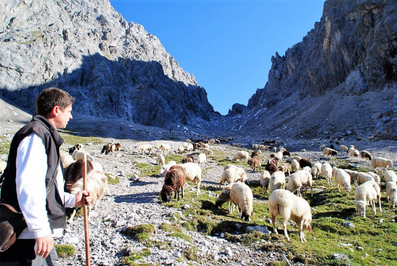 Schafschoad 2012 – Vom Seebensee nach Untermieming