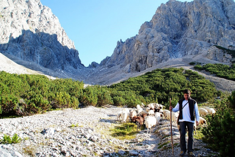 Schafschoad 2012 – Vom Seebensee nach Untermieming