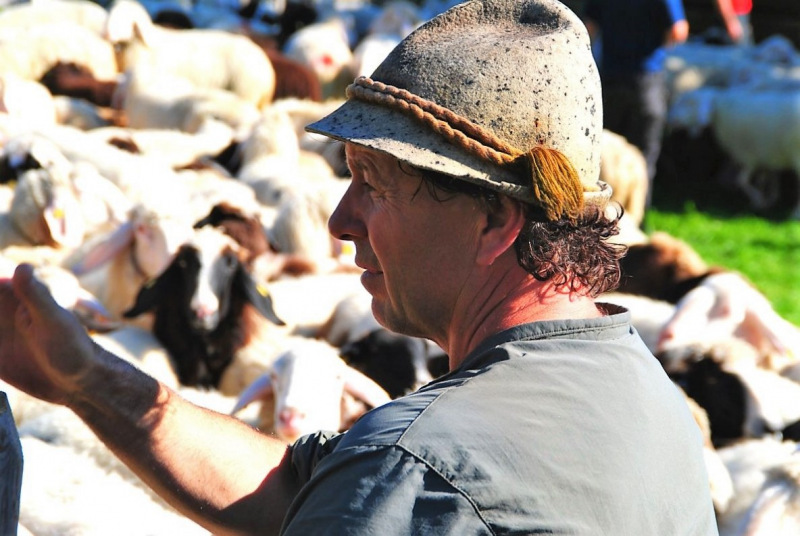 Schafschoad 2012 – Vom Seebensee nach Untermieming
