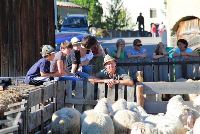 Schafschoad 2012 – Vom Seebensee nach Untermieming