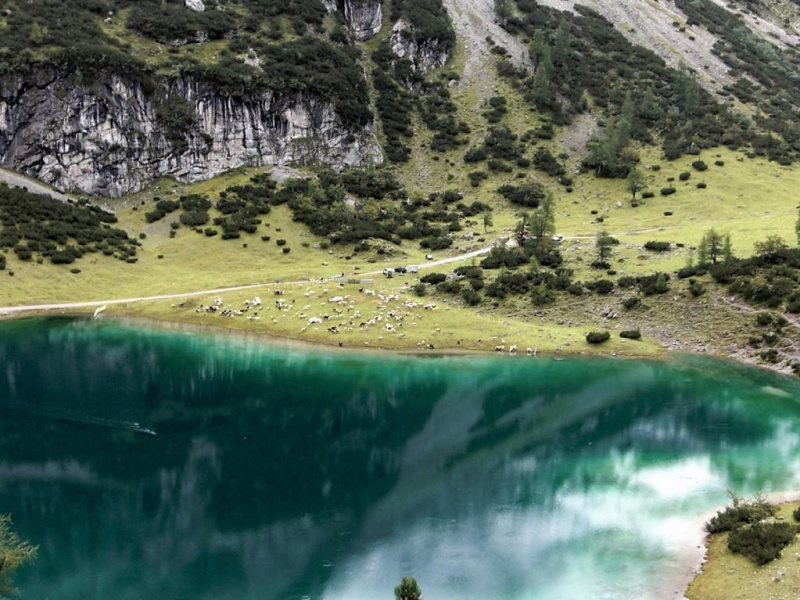 Schafschoad Seebenalm 2017