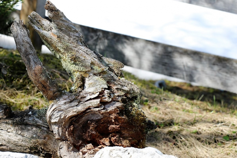 Seebenalm – Gebaut werden Steinschlagschutz und Gastank