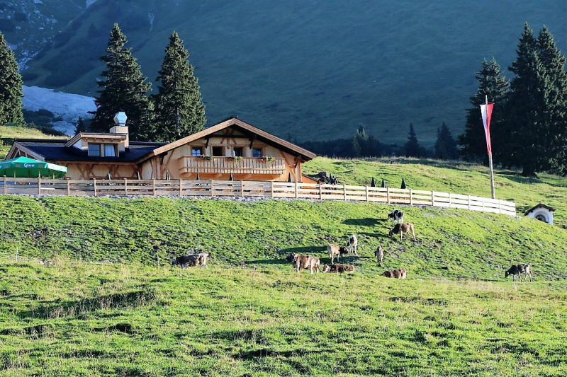 Tag auf der Hochfeldernalm – zwischen Morgen- und Abendsonne