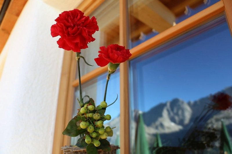 Tag auf der Hochfeldernalm – zwischen Morgen- und Abendsonne