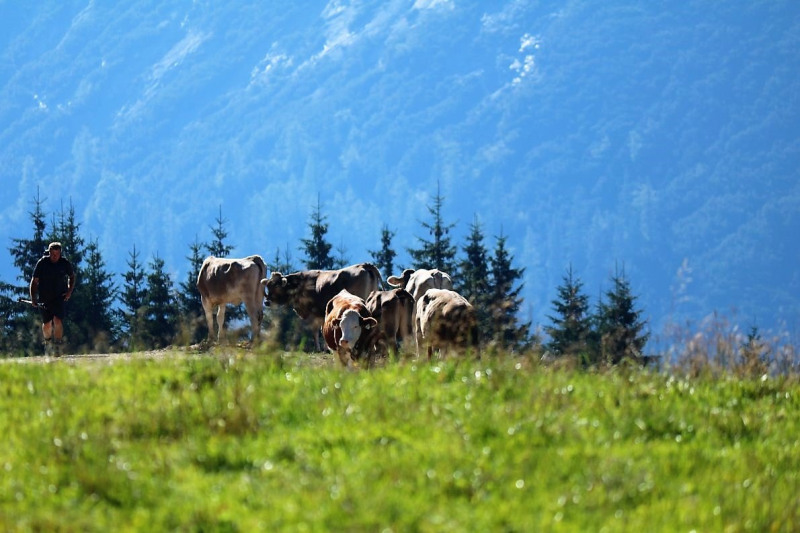 Tag auf der Hochfeldernalm – zwischen Morgen- und Abendsonne