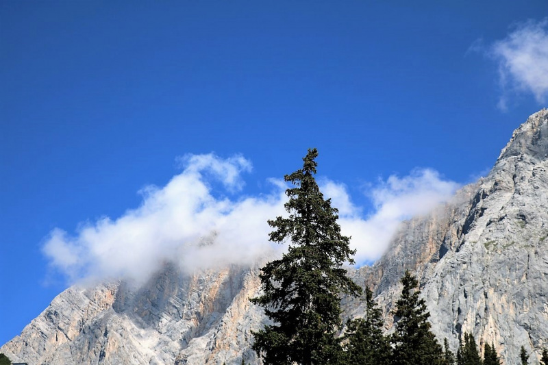 Tag auf der Hochfeldernalm – zwischen Morgen- und Abendsonne
