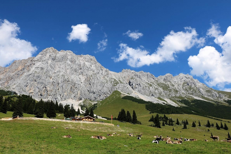 Tag auf der Hochfeldernalm – zwischen Morgen- und Abendsonne
