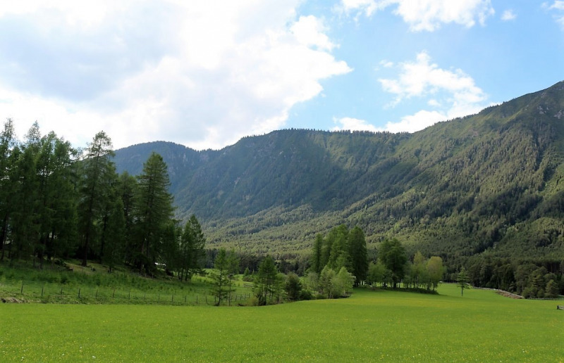 Vorberg Marienbergalpe – Viehauftrieb in Barwies