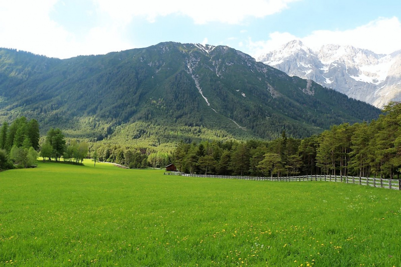 Vorberg Marienbergalpe – Viehauftrieb in Barwies