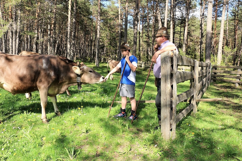 Vorberg Marienbergalpe – Viehauftrieb in Barwies
