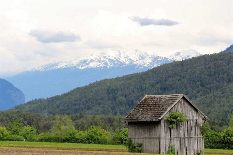 Zäunen am Kälberriegl in Obermieming