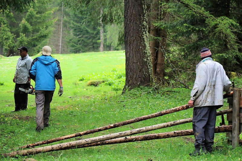 Zäunen auf der Biberwier-Alm