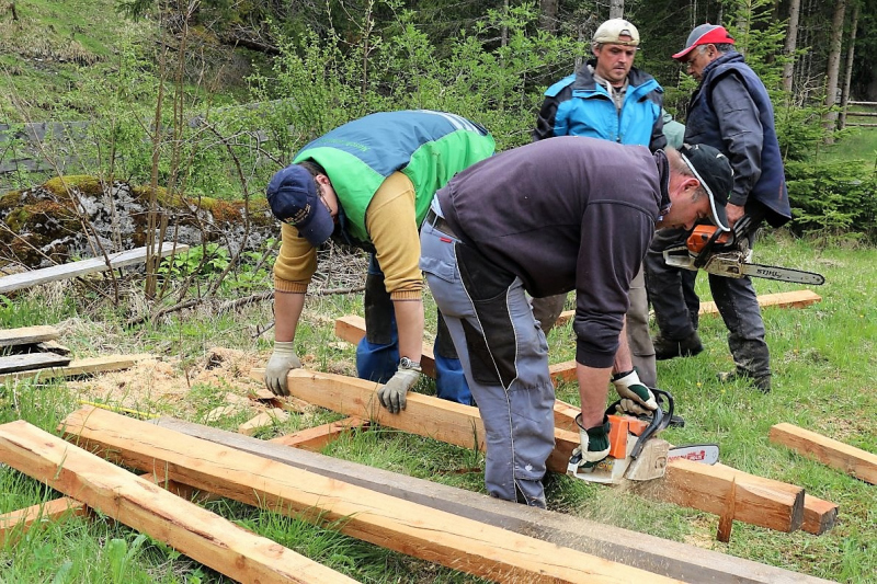 Zäunen auf der Biberwier-Alm