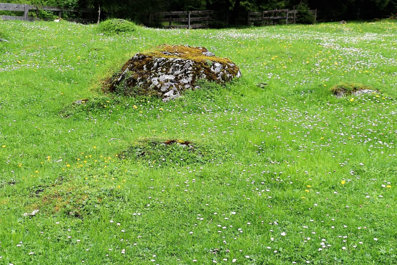 Zäunen auf der Biberwier-Alm