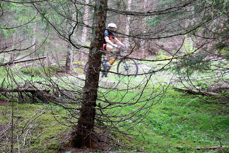Zäunen auf der Biberwier-Alm