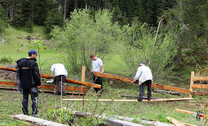 Zäunen auf der Biberwier-Alm