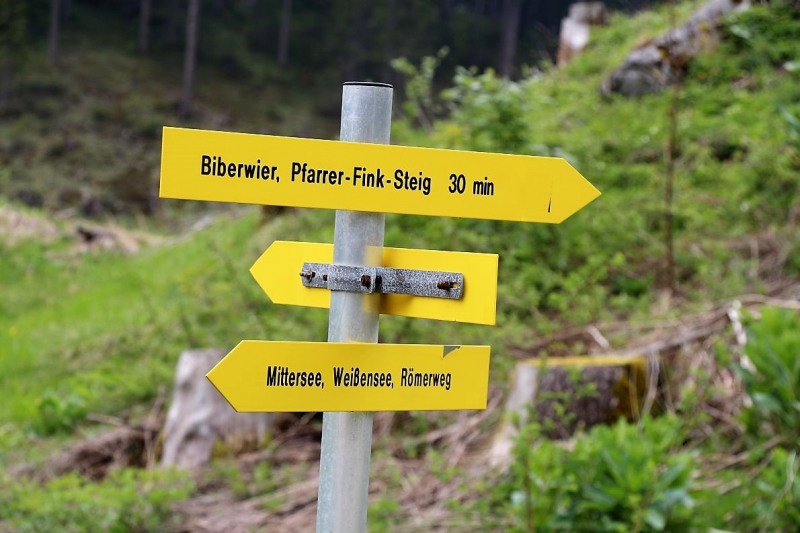 Zäunen auf der Biberwier-Alm